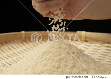 New rice in hand 117236779
