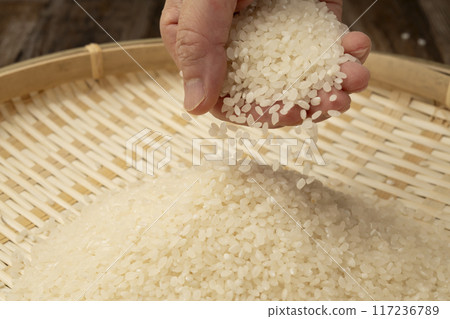 New rice in hand 117236789