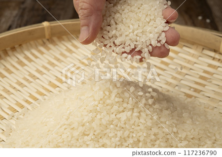 New rice in hand 117236790