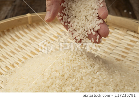 New rice in hand 117236791