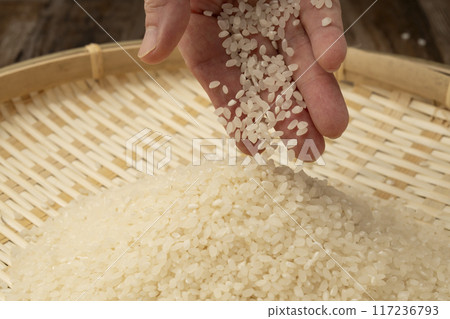 New rice in hand 117236793