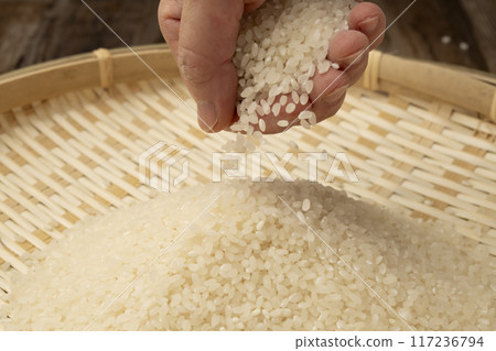 New rice in hand 117236794