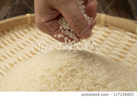 New rice in hand 117236803