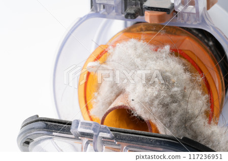 Dust accumulated in the dust box of a vacuum cleaner Dust accumulated in the dust box of a vacuum cleaner 117236951