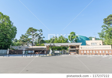北海道札幌市圓山動物園陽光明媚的日子 117237222
