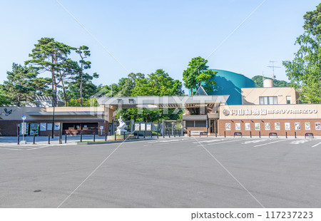 北海道札幌市圓山動物園陽光明媚的日子 117237223