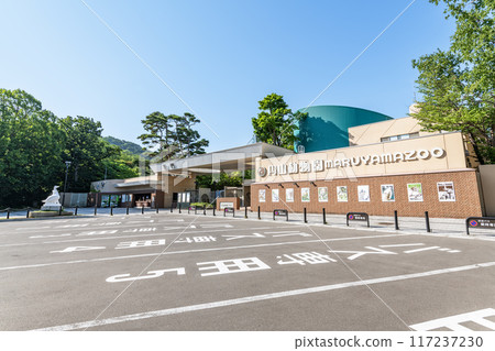 北海道札幌市圓山動物園陽光明媚的日子 117237230