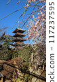 櫻花和五層寶塔映襯著春日蔚藍的天空 117237595