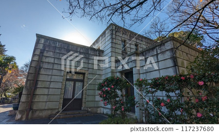 現代西式建築、山茶花、藍天 117237680