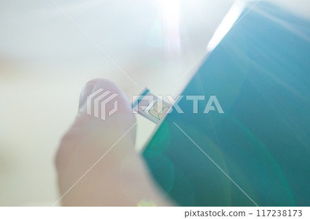 Smartphone nanoSIM card Smartphone nanoSIM card 117238173