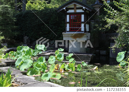 圓通寺 / 京都市左京區岩倉旗多町 圓通寺 / 京都市左京區岩倉旗多町 117238355