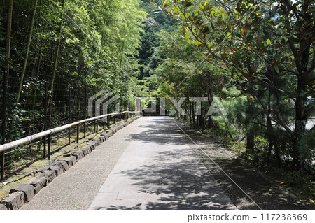 Entsuji Temple / Iwakura Hataedacho, Sakyo Ward, Kyoto City 117238369