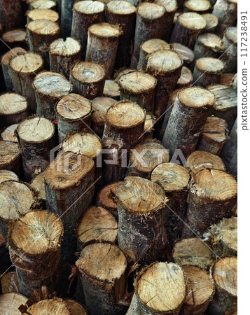 Logs are neatly piled on top of one another, forming a stack 117238491