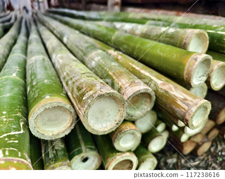 A collection of green bamboo rods piled one on top of another in a stack A collection of green bamboo rods piled one on top of another in a stack 117238616
