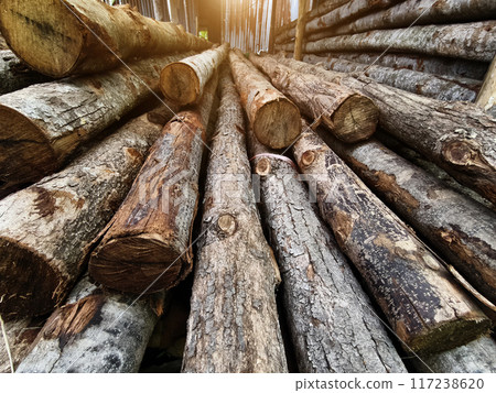 Logs are neatly piled on top of one another, forming a stack 117238620