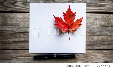 秋季研究的最小景觀 117238675