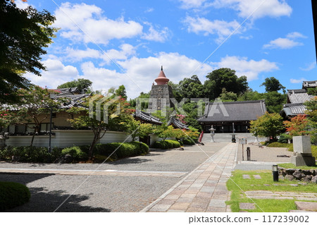 Myomanji Temple, head temple of the Kenpon Hokke Sect, Kyoto City, Sakyo Ward, Iwakura Hataeda-cho 117239002