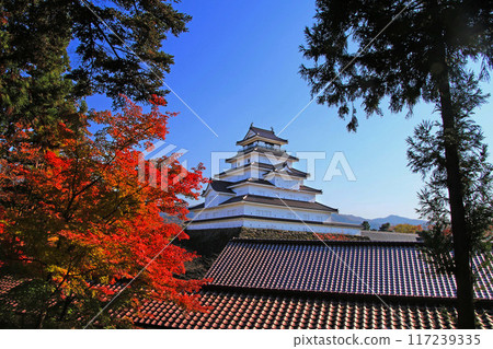 秋天的敦賀城堡（福島縣，會津若松市） 117239335