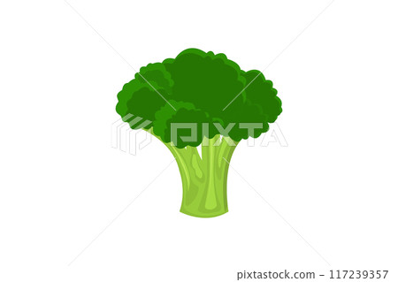 Fresh broccoli icon on white. Fresh broccoli icon on white. 117239357