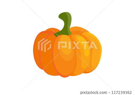 Pumpkin colorful icon on white Pumpkin colorful icon on white 117239362