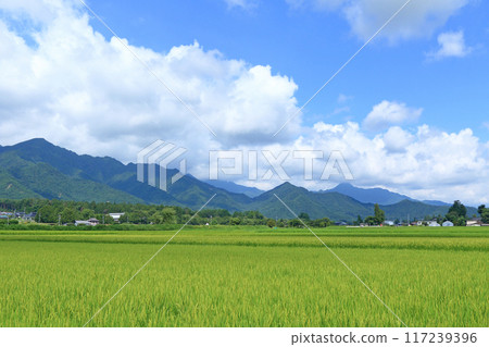 安曇野夏日鄉村 117239396