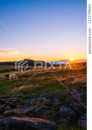 Utsukushigahara - Evening scenery 117239664