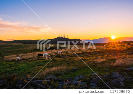 美原/日落景觀 117239670