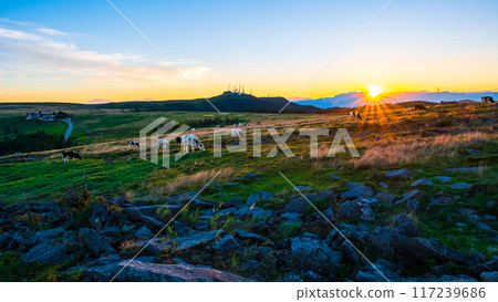 Utsukushigahara - Evening scenery Utsukushigahara - Evening scenery 117239686