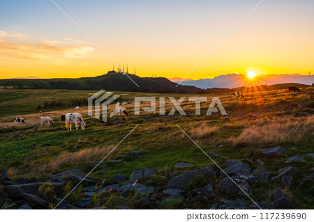美原/日落景觀 117239690