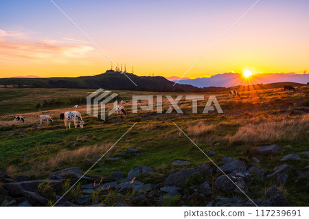 美原/日落景觀 117239691