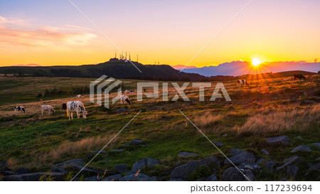 Utsukushigahara - Evening scenery Utsukushigahara - Evening scenery 117239694
