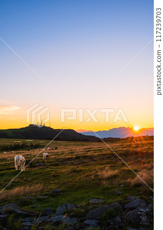 Utsukushigahara - Evening scenery Utsukushigahara - Evening scenery 117239703