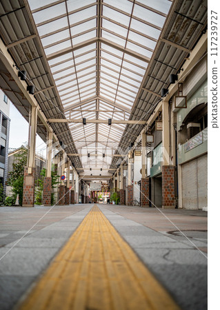 A walk through the Bikan Historical Quarter, a popular tourist destination in Kurashiki City, Okayama Prefecture, on a clear, sunny morning 117239727