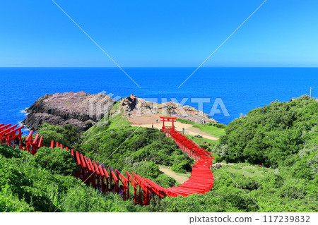 [Yamaguchi Prefecture] The 100 Torii gates of Motonosumi Shrine on a clear day 117239832