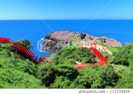 [Yamaguchi Prefecture] The 100 Torii gates of Motonosumi Shrine on a clear day 117239834