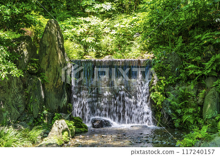 Tokyo Koishikawa Korakuen Shiraito Falls Early summer greenery Tokyo Koishikawa Korakuen Shiraito Falls Early summer greenery 117240157