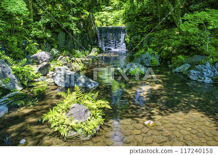 Tokyo Koishikawa Korakuen Shiraito Falls Early summer greenery 117240158