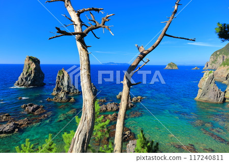 [Yamaguchi Prefecture] The Marine Alps of Omijima on a clear day 117240811