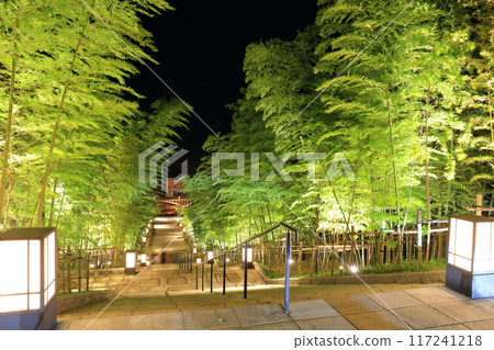 [Yamaguchi Prefecture] Night view of the bamboo forest stairs at Nagato Yumoto Onsen (Reiyu Onsen source) 117241218
