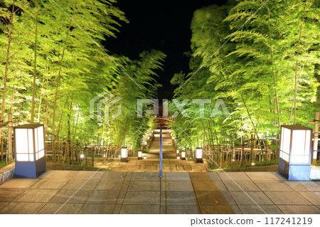 [Yamaguchi Prefecture] Night view of the bamboo forest stairs at Nagato Yumoto Onsen (Reiyu Onsen source) 117241219