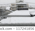 正在下雪 117241856