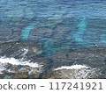 淺水 117241921