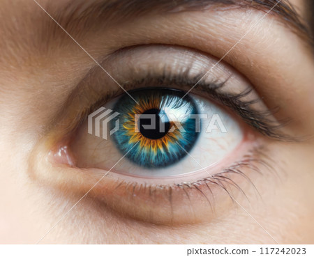 Close-up of a woman's eye 117242023