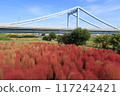 Kochia and Kasai Bridge 117242421