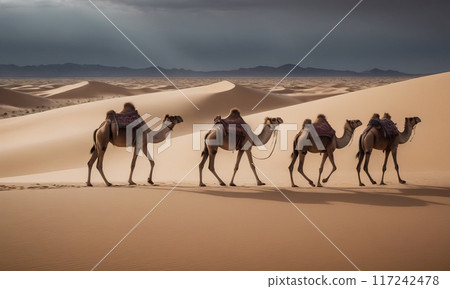 Camels in the desert Camels in the desert 117242478