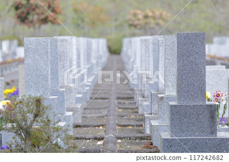 Tombstone of the grave 117242682