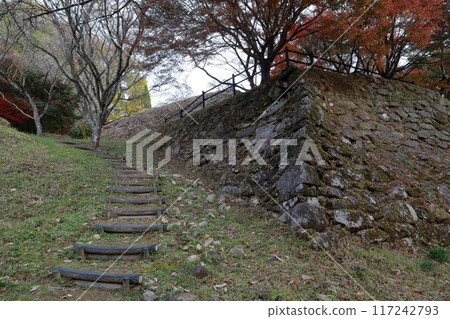 Autumn leaves and castle ruins (Ichibajoseki, Toyota City, Aichi Prefecture) Autumn leaves and castle ruins (Ichibajoseki, Toyota City, Aichi Prefecture) 117242793