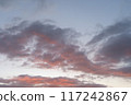 落日的天空 117242867