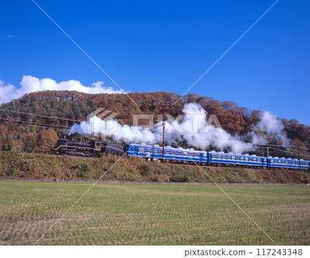 The "Autumn SL Kita Biwako" spews smoke as it speeds uphill in Kawage, Kohoku-cho, Nagahama City, Shiga Prefecture 117243348