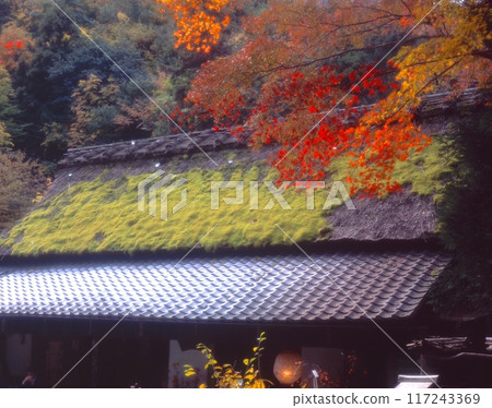 A thatched-roof teahouse (Hiranoya) and autumn leaves in Saga-toriimoto (a temple town) in Sagano, Kyoto A thatched-roof teahouse (Hiranoya) and autumn leaves in Saga-toriimoto (a temple town) in Sagano, Kyoto 117243369